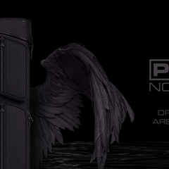 Collection image for: Cuetec Cases