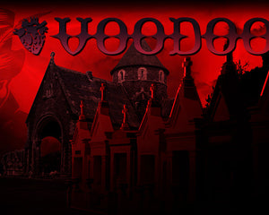 Collection image for: Voodoo Cases
