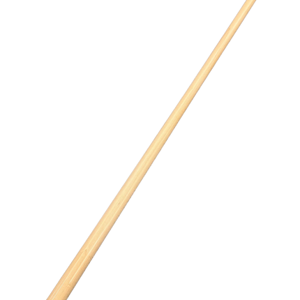 Cueroc Pterosaur 2