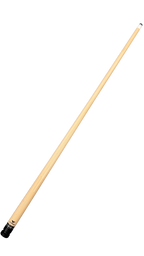 Cueroc Pterosaur 2