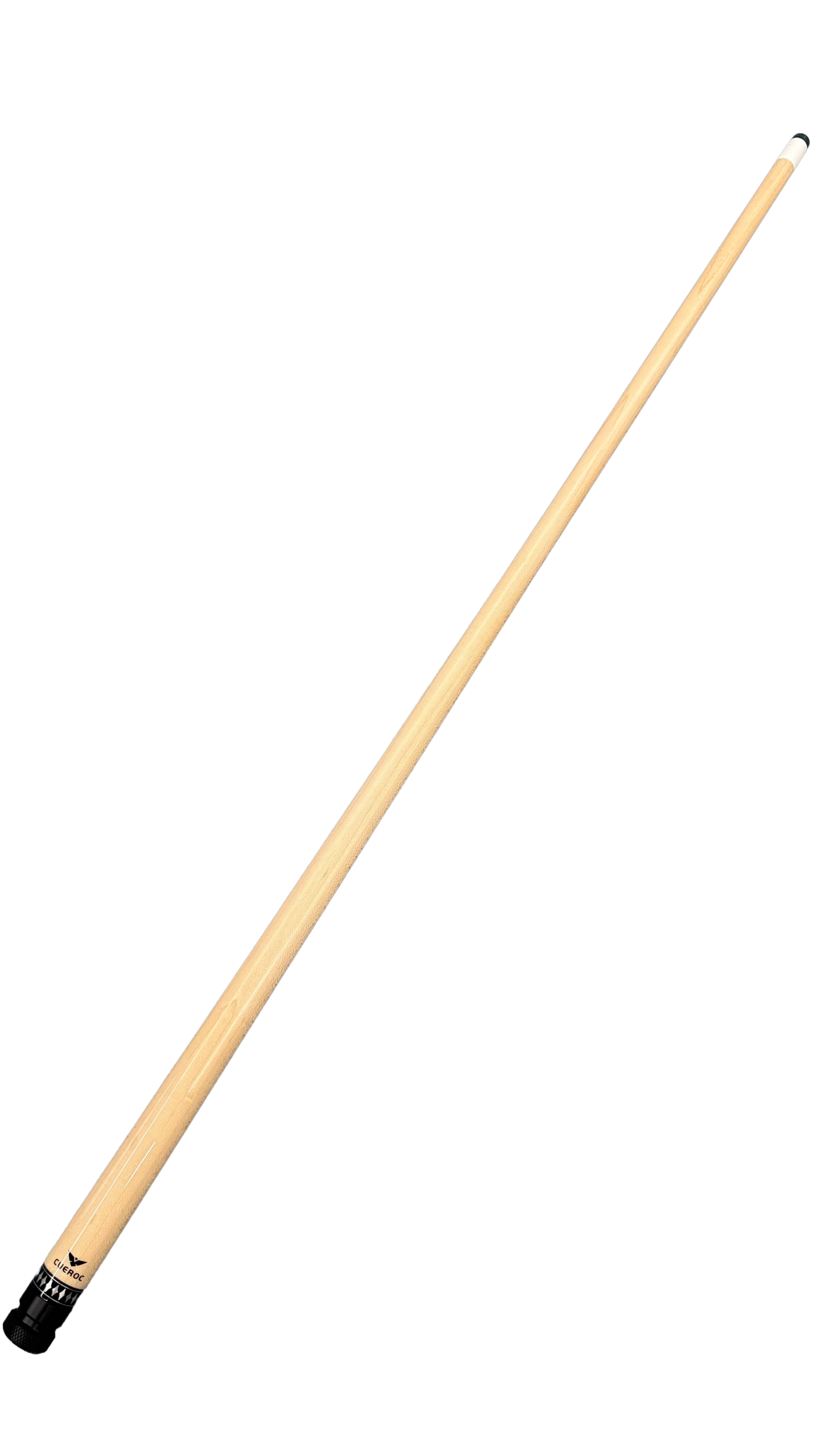 Cueroc Pterosaur 2
