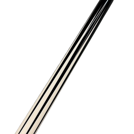 Cueroc Pterosaur 1